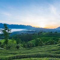 500萬噸/年！湖北儲(chǔ)量約1.12億噸建筑用花崗巖礦擬掛牌出讓